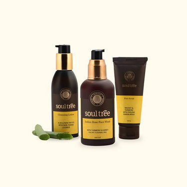 https://cdn.shopify.com/s/files/1/1857/6931/products/j6v6cs1tJW.jpg?v=1629720868